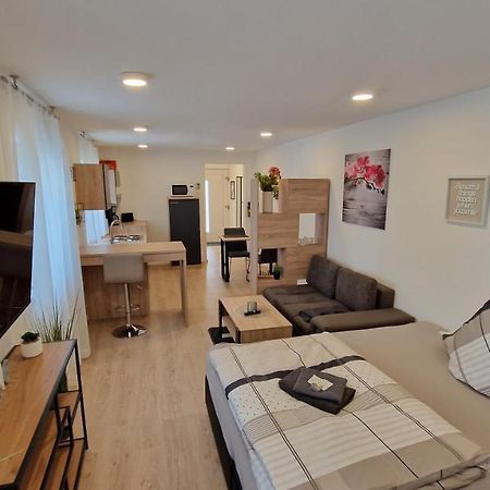 Appartment-Ferienwohnung Mit Kueche, Bad, Kostenlos Wlan, Modern Eingerichtet Roding Buitenkant foto