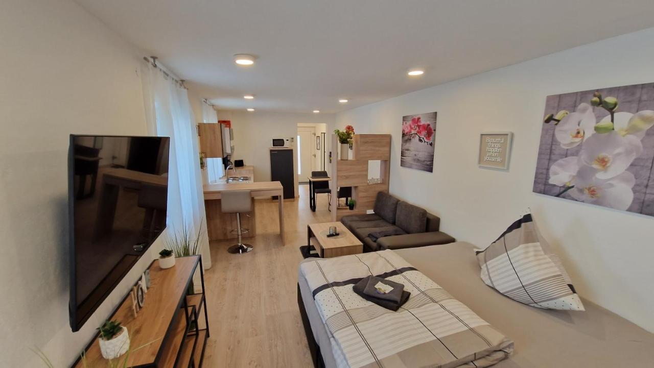 Appartment-Ferienwohnung Mit Kueche, Bad, Kostenlos Wlan, Modern Eingerichtet Roding Buitenkant foto